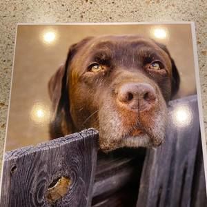 Meet your Posher, Cheri